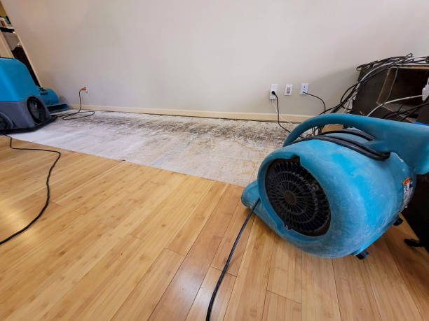 Professional Water Removal technician working in Homer, IL